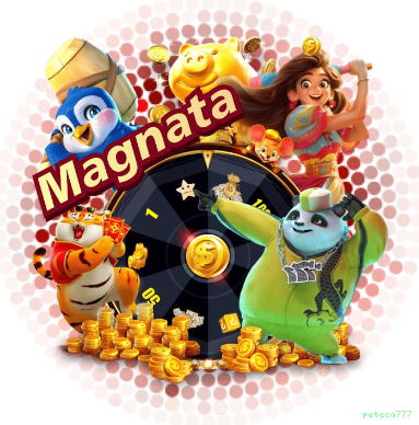 Imagem promocional da plataforma peteca777